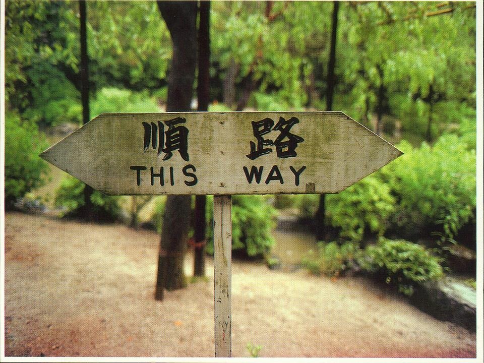 This Way Signpost