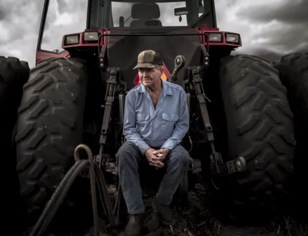 Japanese Precision Spiral Dynamics Integral